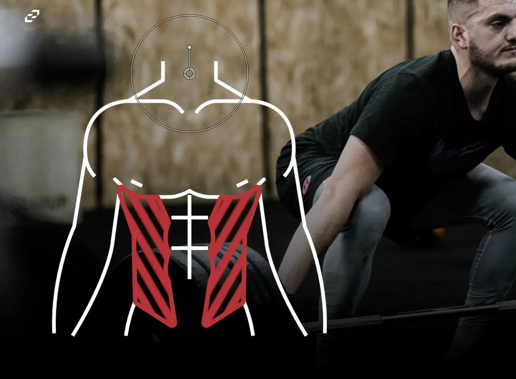 Muscle Animated Icon Pack for Final Cut Pro, Premiere Pro - Editable Fitness Templates and Graphics - CCreation Store