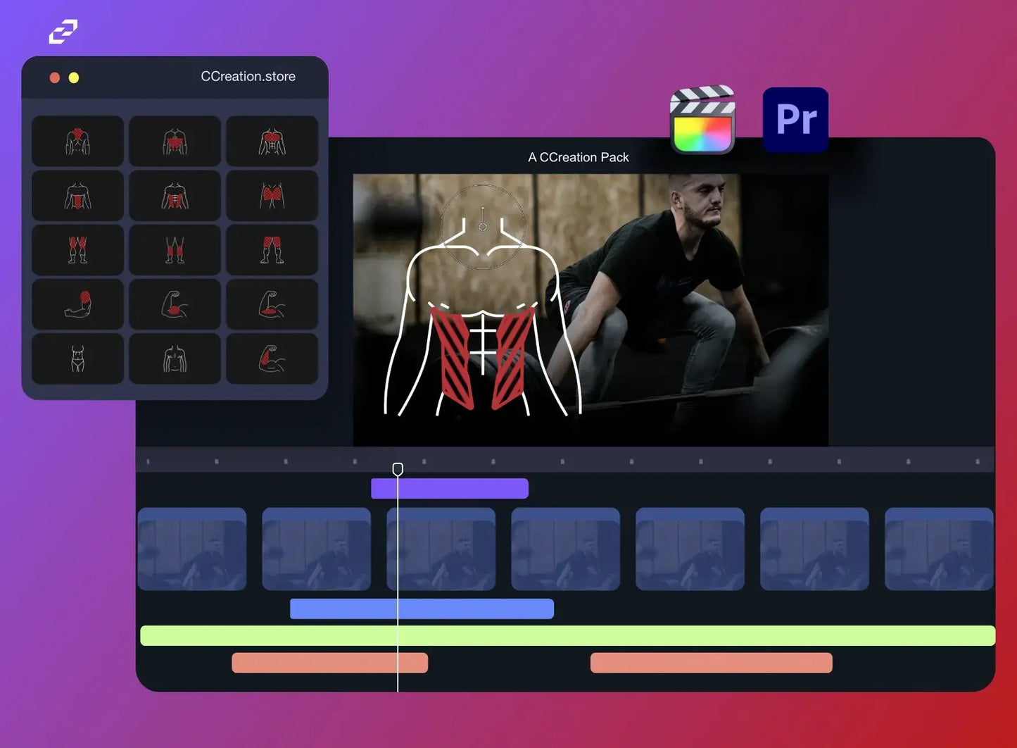 Muscle Animated Icon Pack for Final Cut Pro, Premiere Pro - Editable Fitness Templates and Graphics - CCreation Store