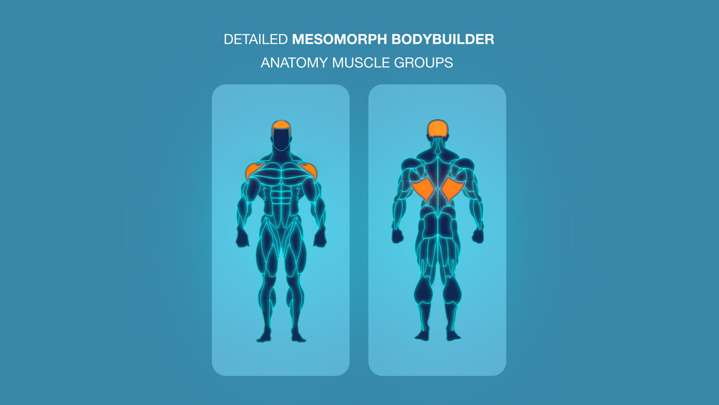 Gym Graphic V2 Mesomorph Bundle For Capcut ccreation.store