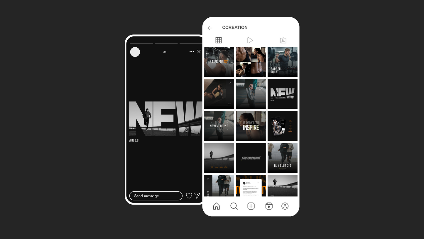 Fitness Creator Bundle v2