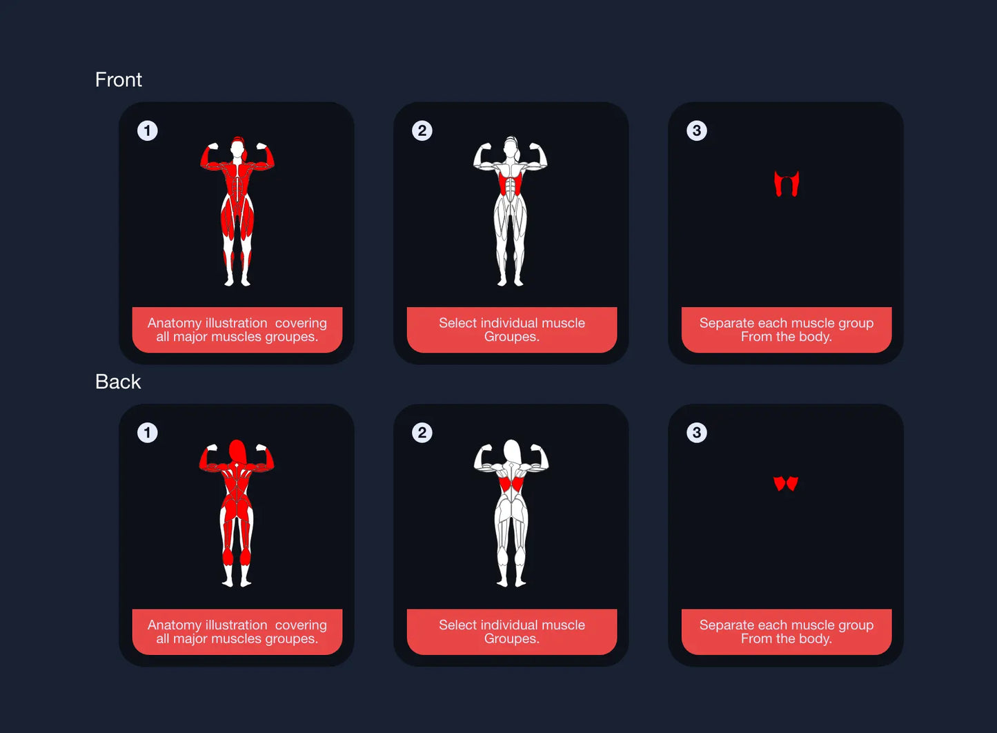 Bodybuilding Editable muscle graphics Pack ccreation.store