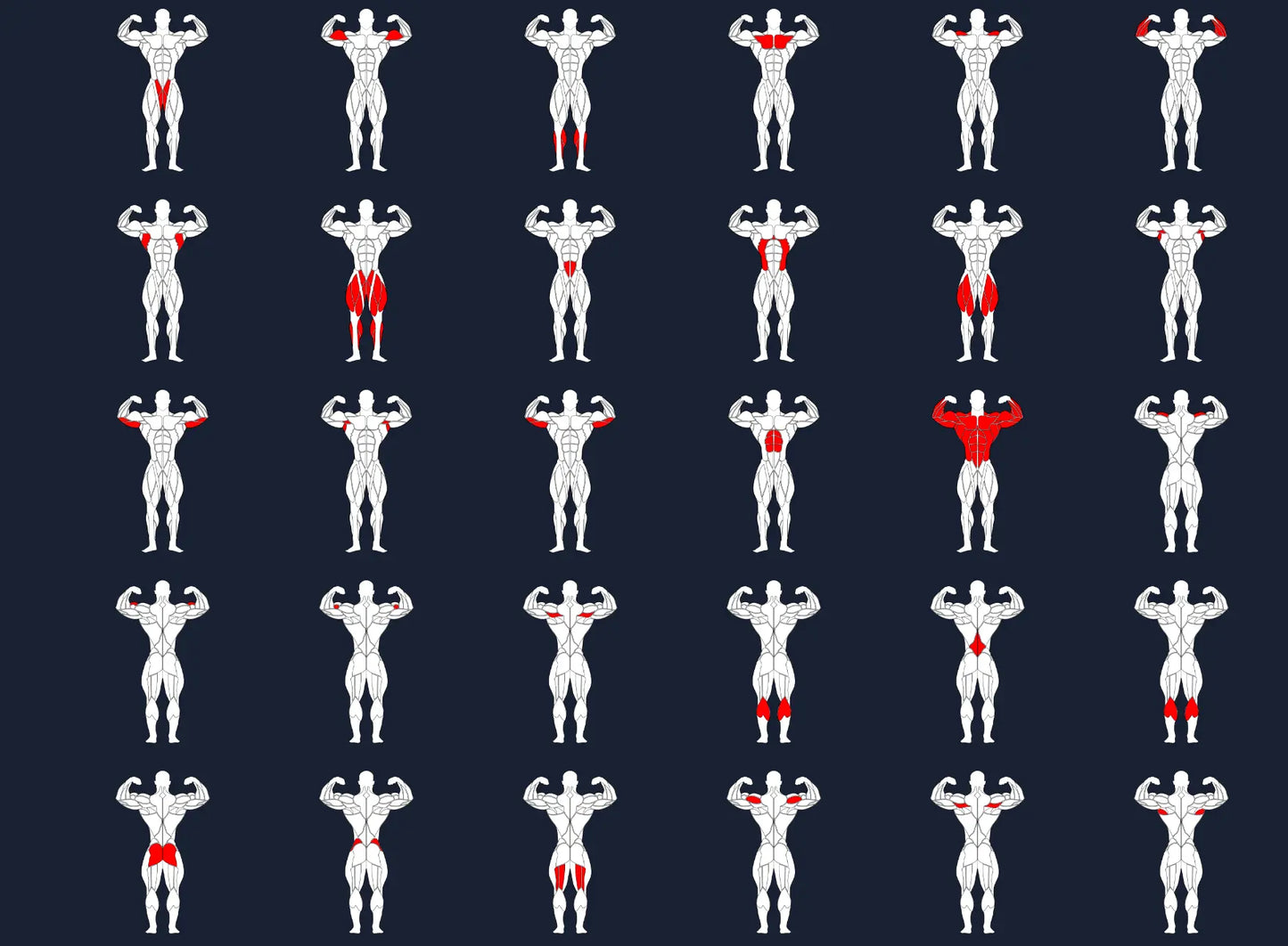 Bodybuilding Editable muscle graphics Pack ccreation.store