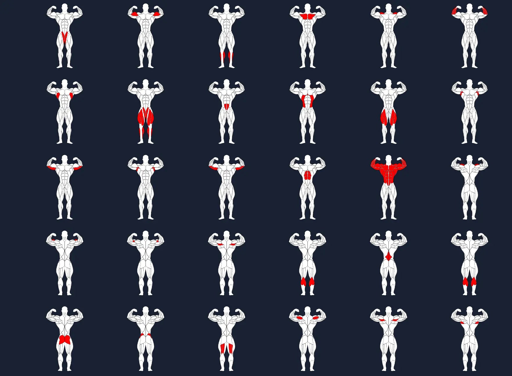 Bodybuilding Editable muscle graphics Pack ccreation.store