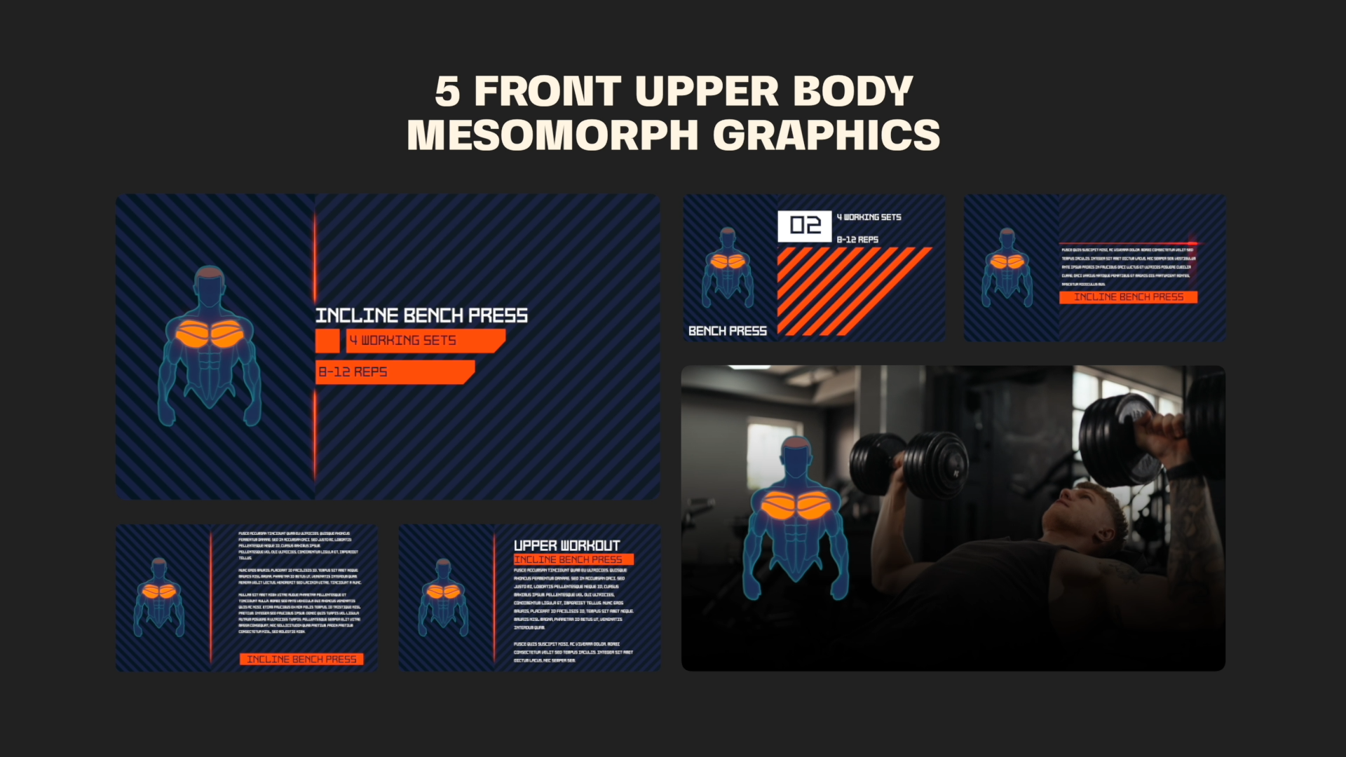 Mesomorph Gym Graphic V2 Editable muscle motion