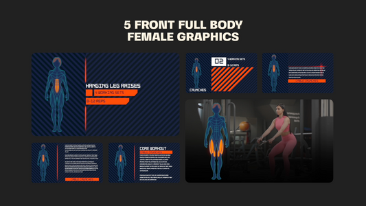 Human Muscle Diagram stock illustrations