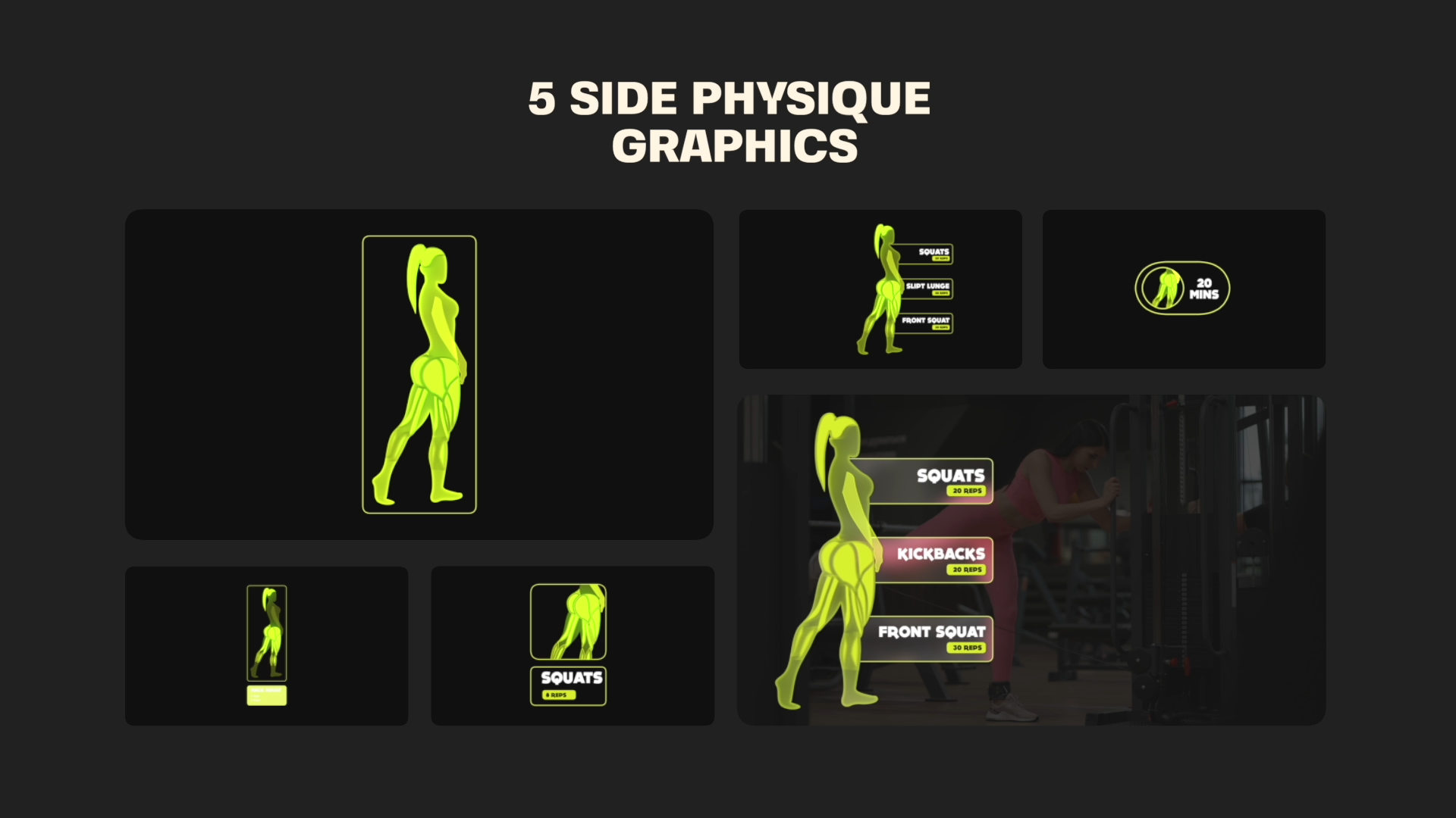 female physique muscle map mogrt