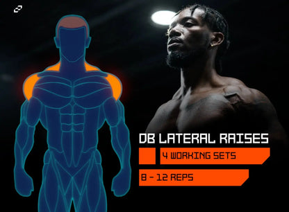Muscle Diagram Gym Graphics  - Editable Fitness Templates - Final Cut Pro, DaVinci Resolve, Premiere Pro - CCreation Store
