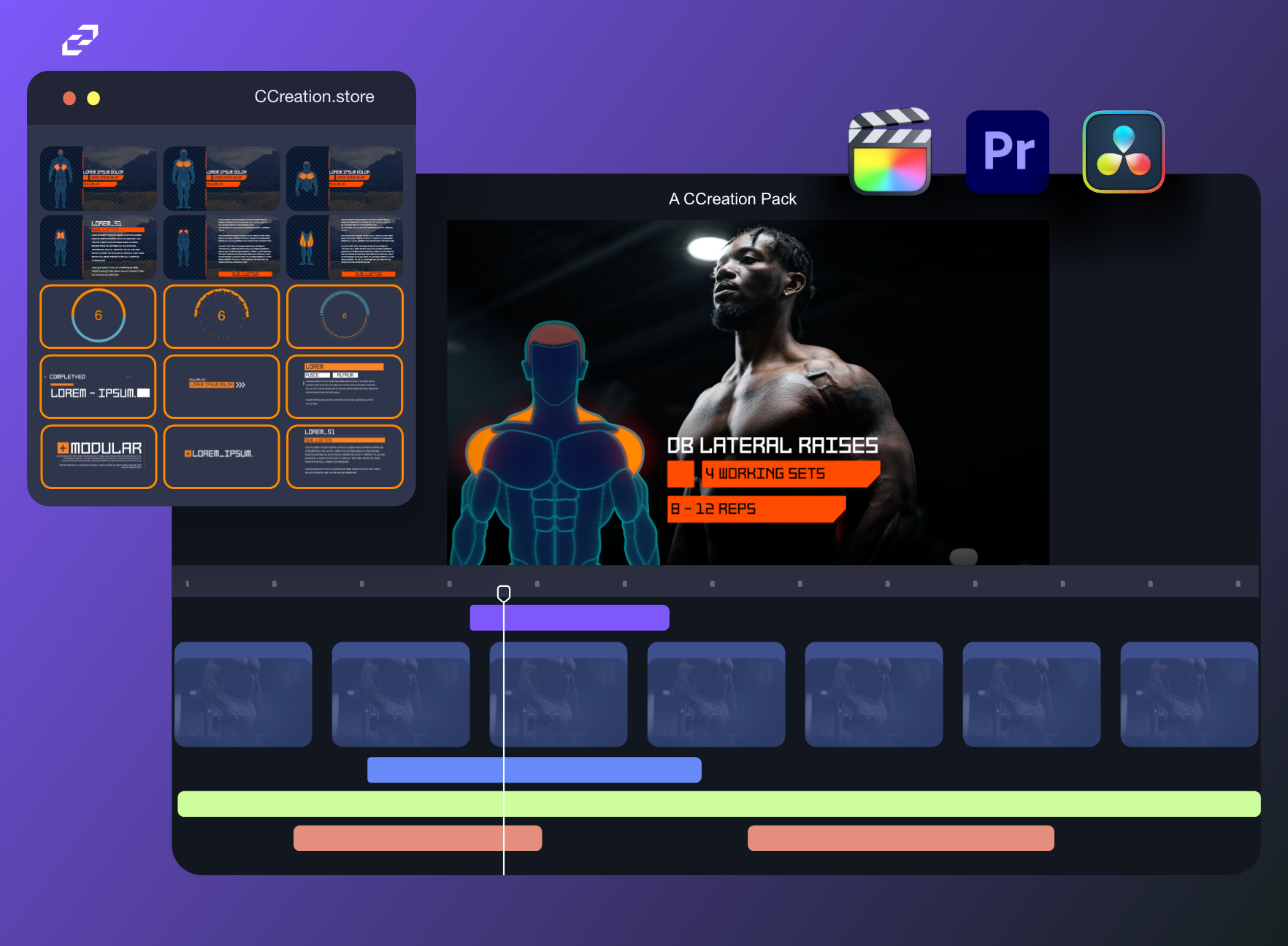 Muscle Diagram Gym Graphics  - Editable Fitness Templates - Final Cut Pro, DaVinci Resolve, Premiere Pro - CCreation Store