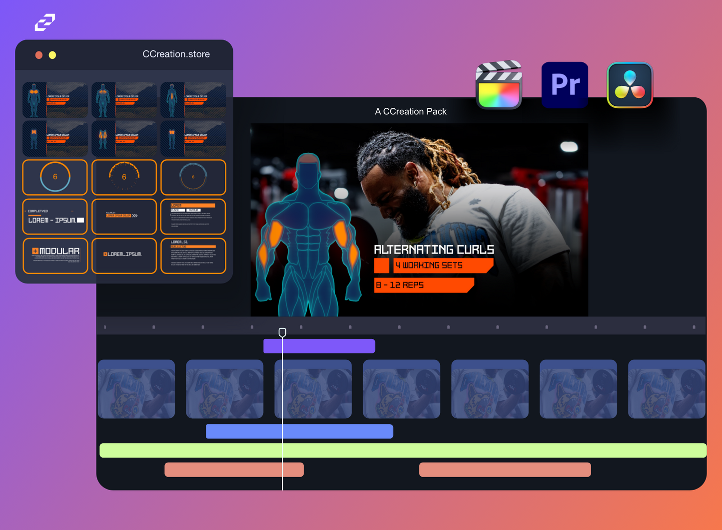 Human Body Gym Graphics  - Editable Fitness Templates - Final Cut Pro, DaVinci Resolve, Premiere Pro - CCreation Store