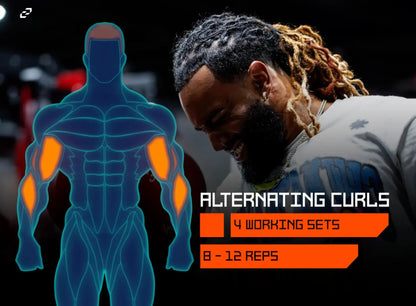 Muscle Diagram Gym Graphics  - Editable Fitness Templates - Final Cut Pro, DaVinci Resolve, Premiere Pro - CCreation Store