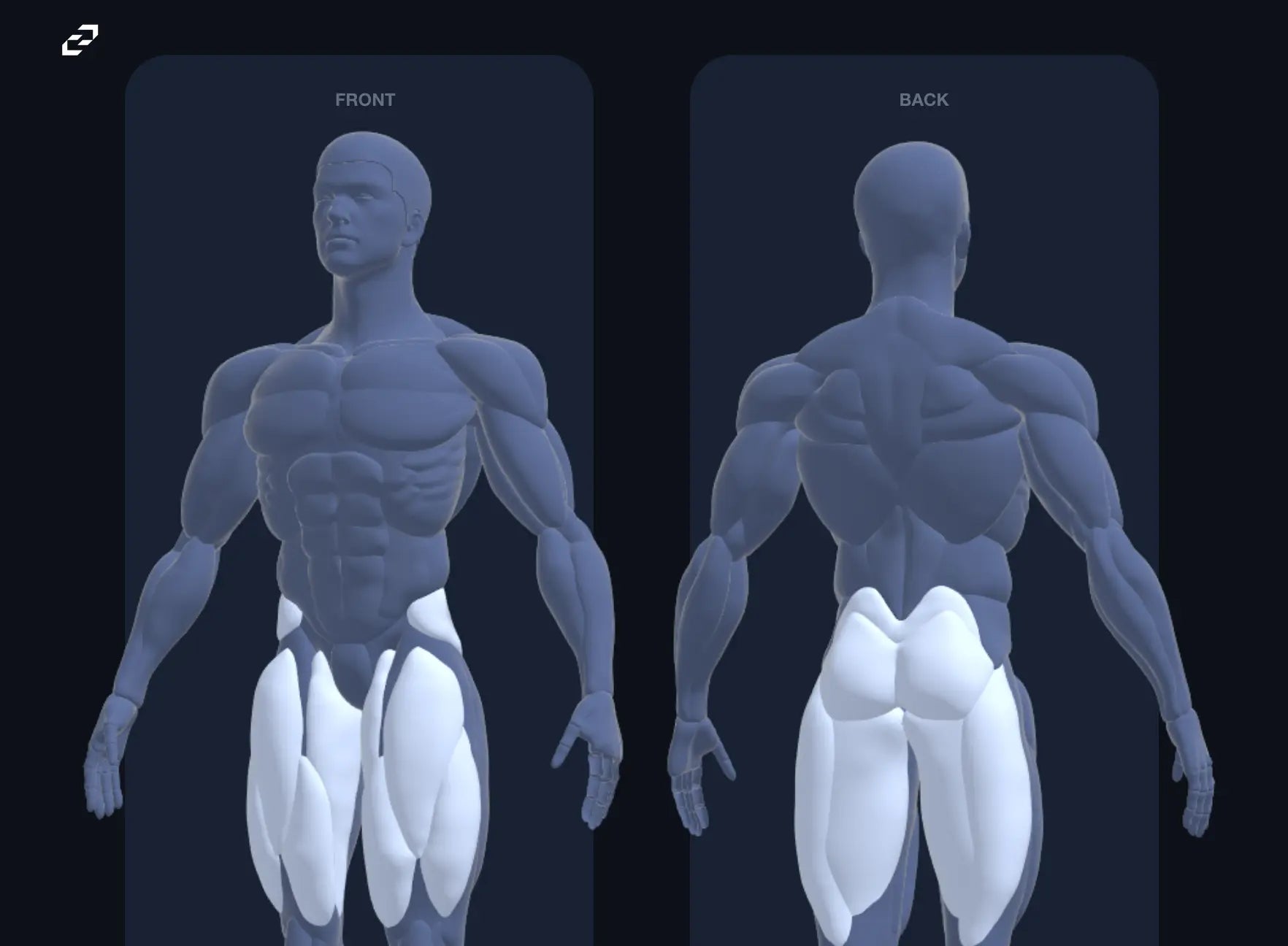 Male Gym Graphics V3 - CapCut ccreation.store