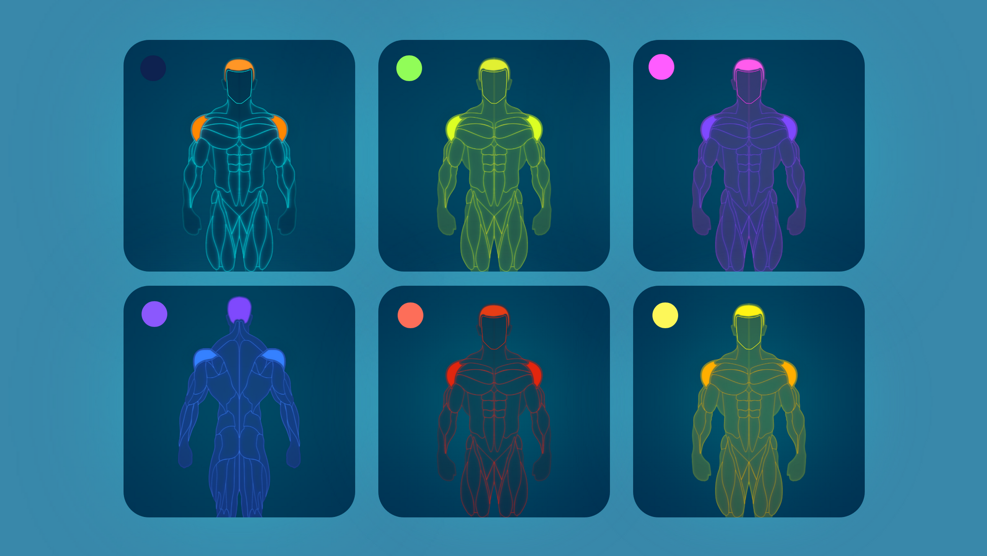 Gym Graphics V2 Mesomorph for CapCut ccreation.store
