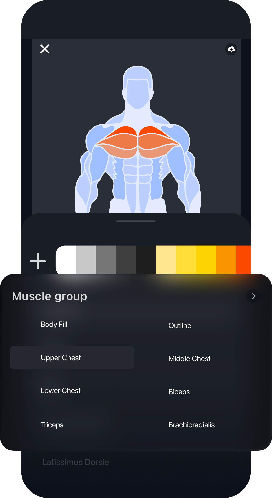 Fitness video editor turns your workouts programs into a piece of art with a simple customisable muscles maps and gym graphics. Rotate, trim, split, colours and merge videos with CCreation