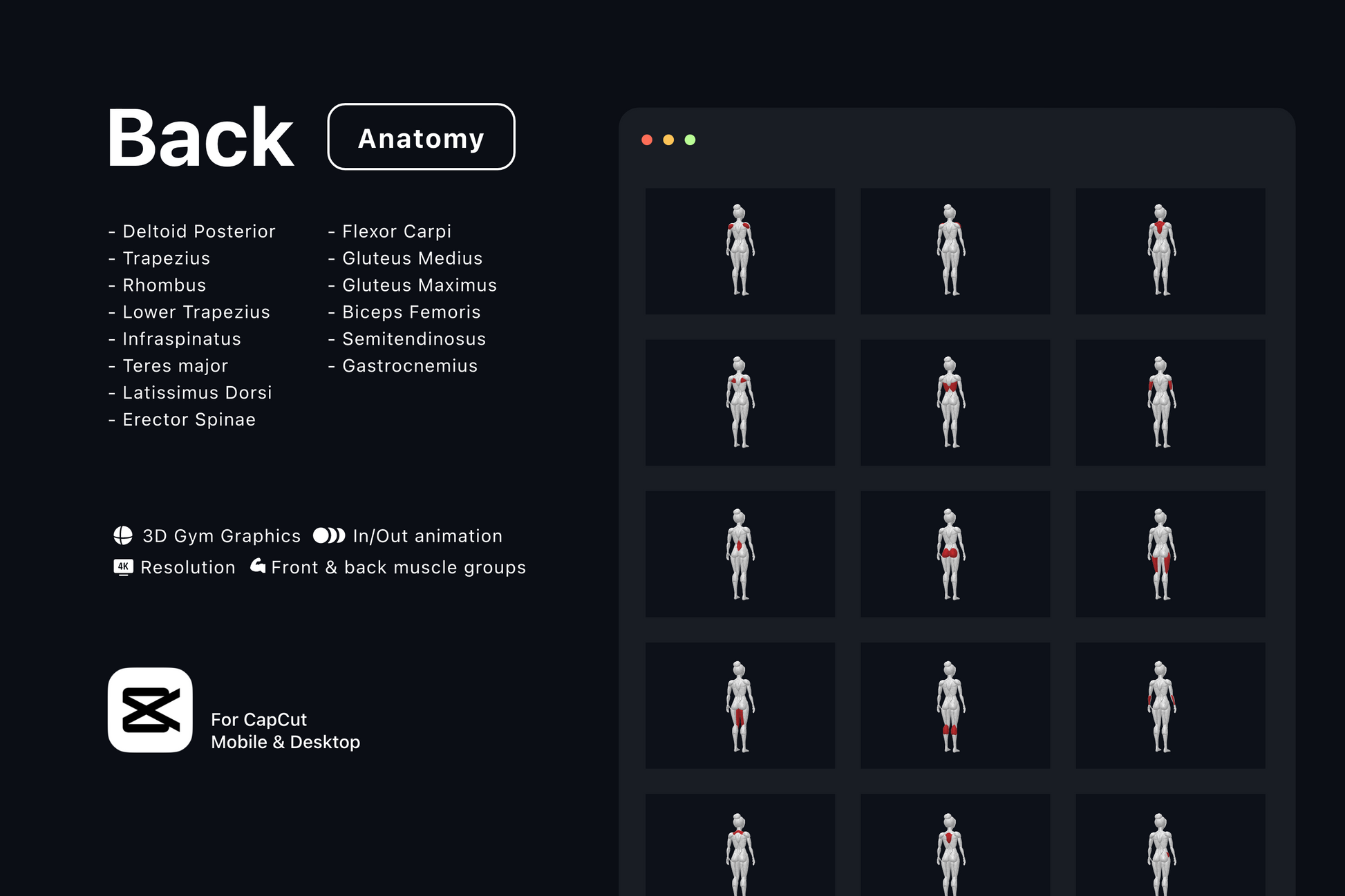 Free Gym Graphics V3 - CapCut ccreation.store