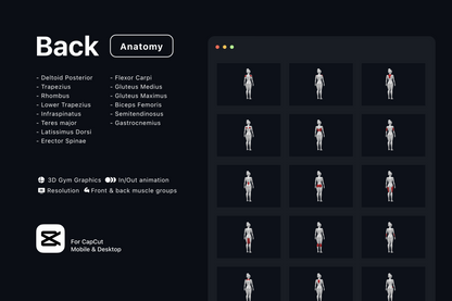 Free Gym Graphics V3 - CapCut ccreation.store