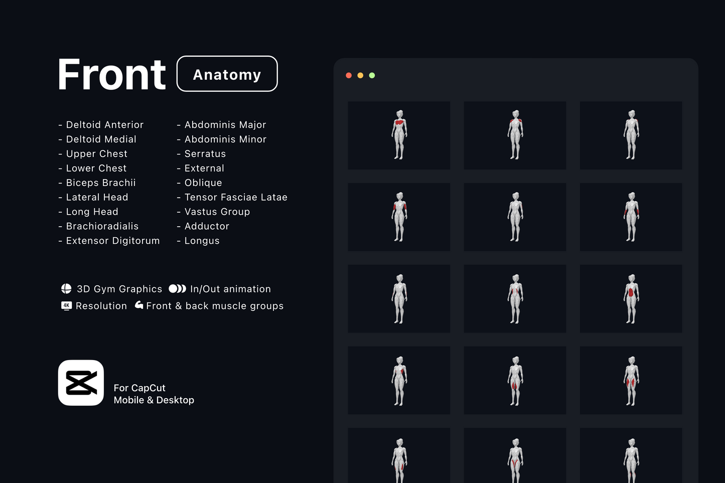 Free Gym Graphics V3 - CapCut ccreation.store