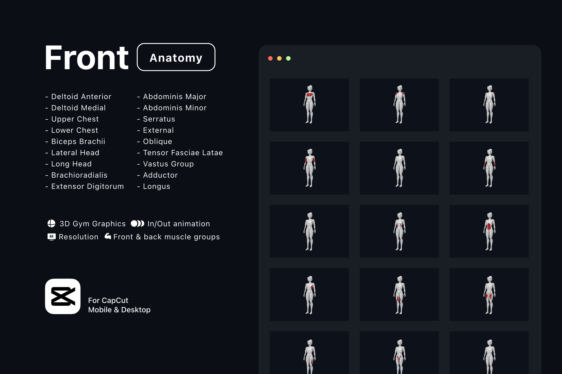 Free Gym Graphics V3 - CapCut ccreation.store