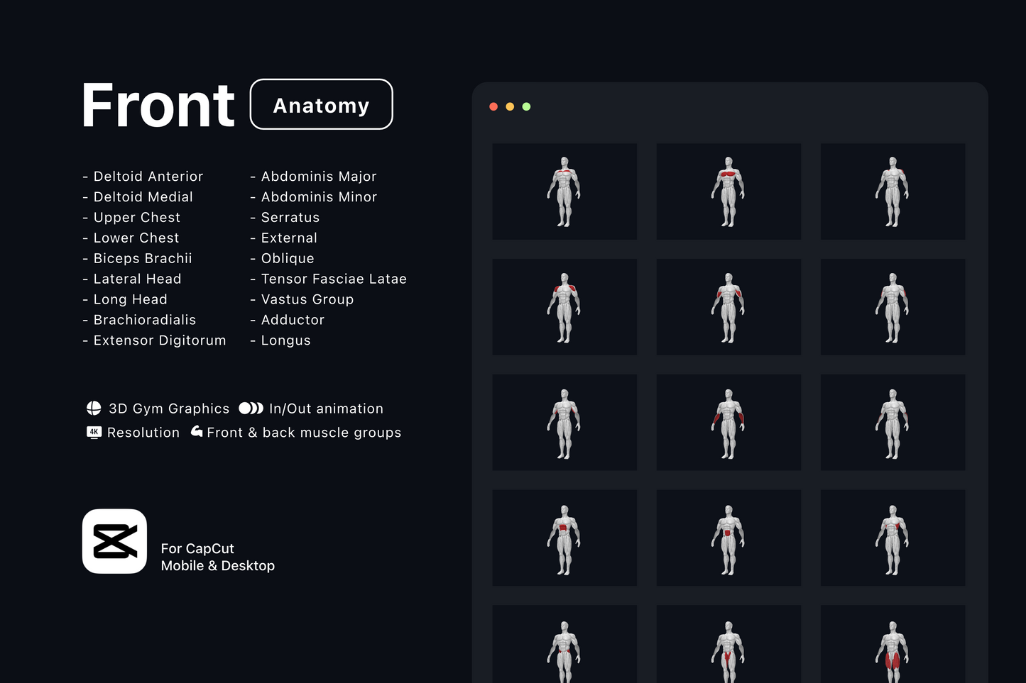 Free Gym Graphics V3 - CapCut ccreation.store