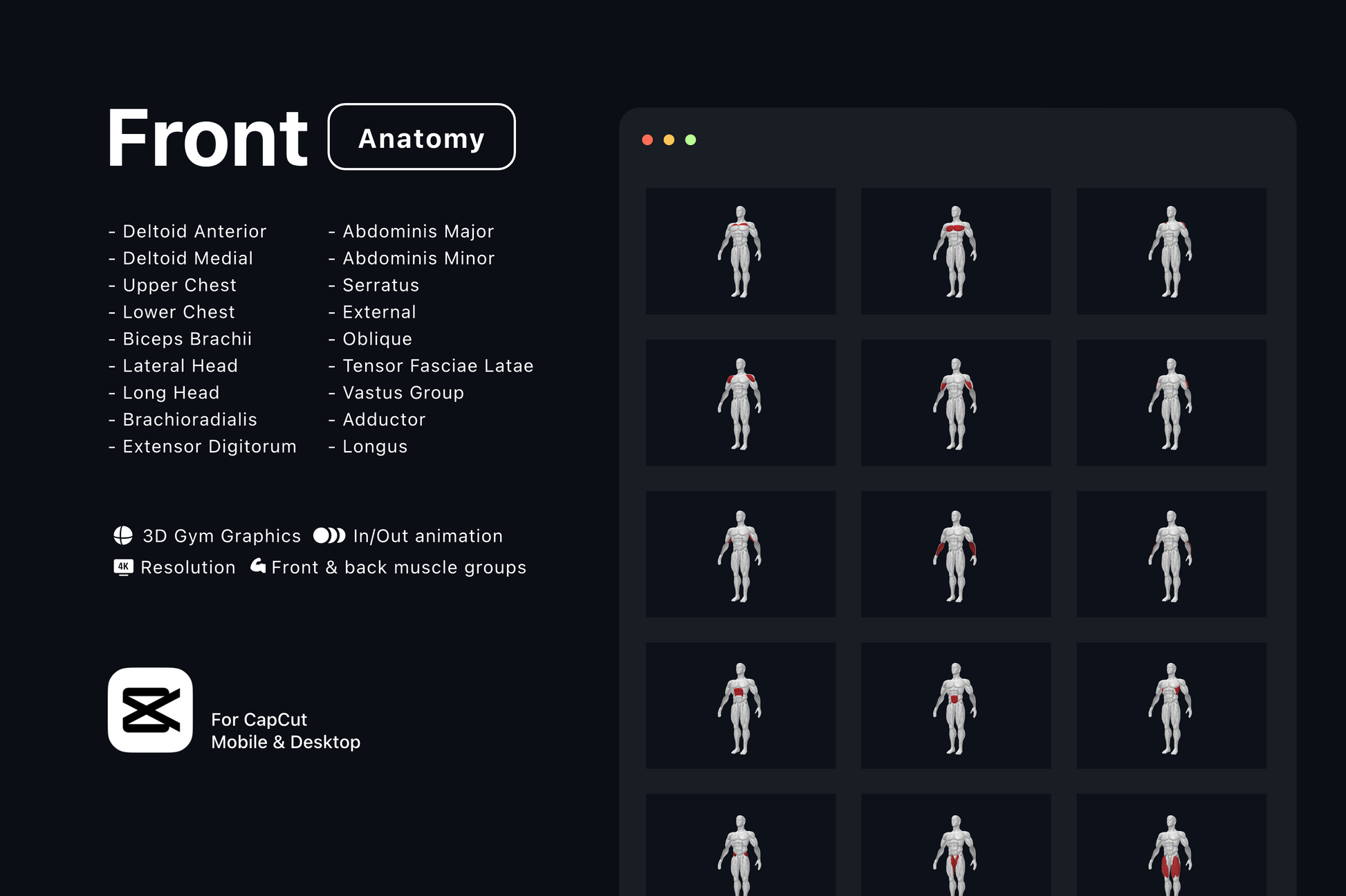 Free Gym Graphics V3 - CapCut ccreation.store