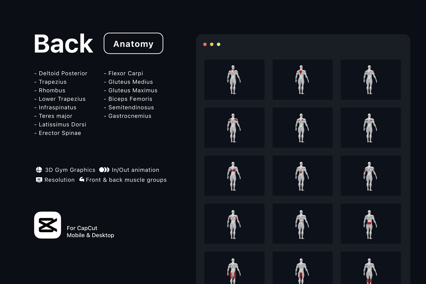 Free Female Gym Graphics V3 - CapCut ccreation.store