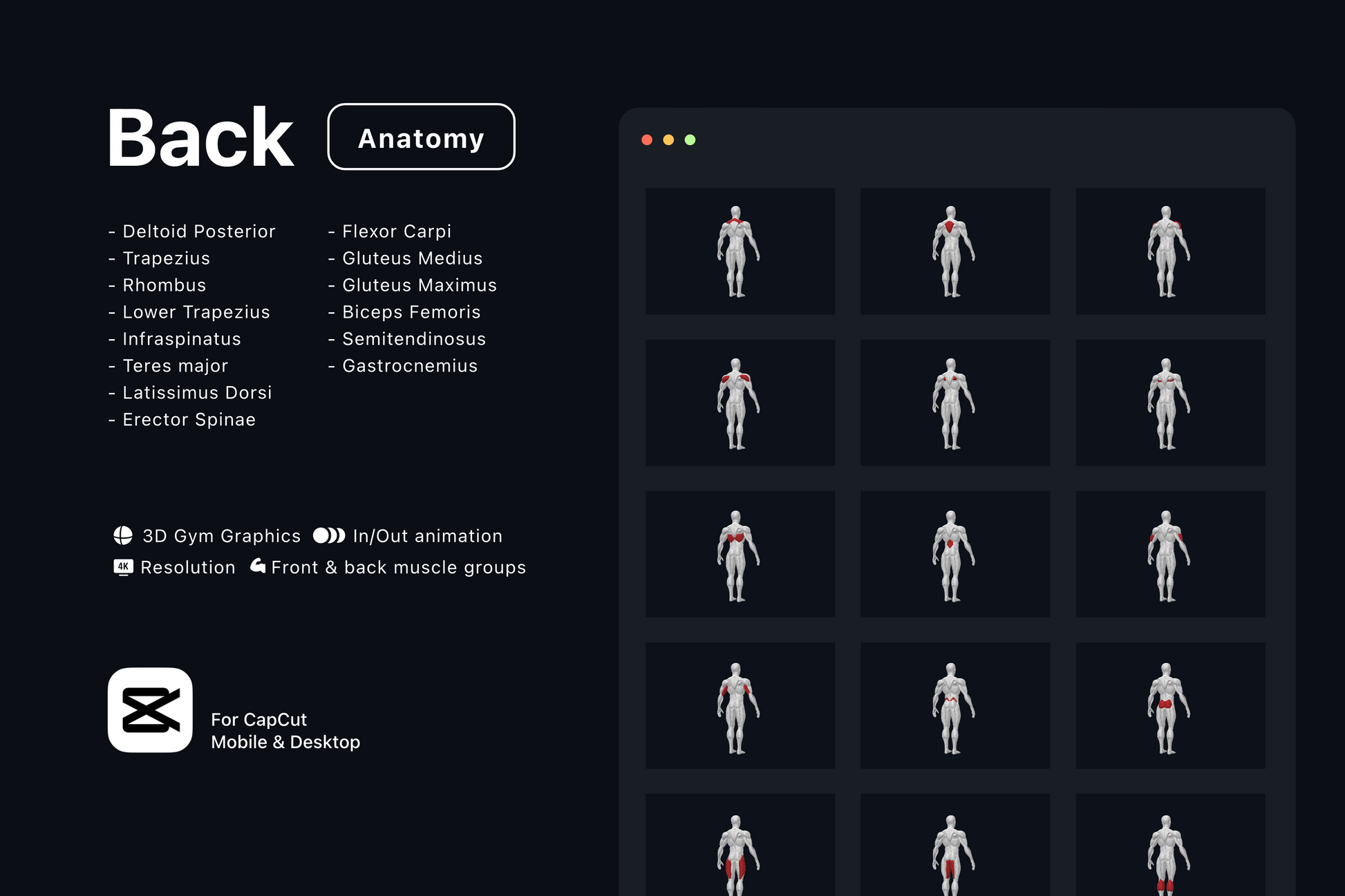 Free Female Gym Graphics V3 - CapCut ccreation.store