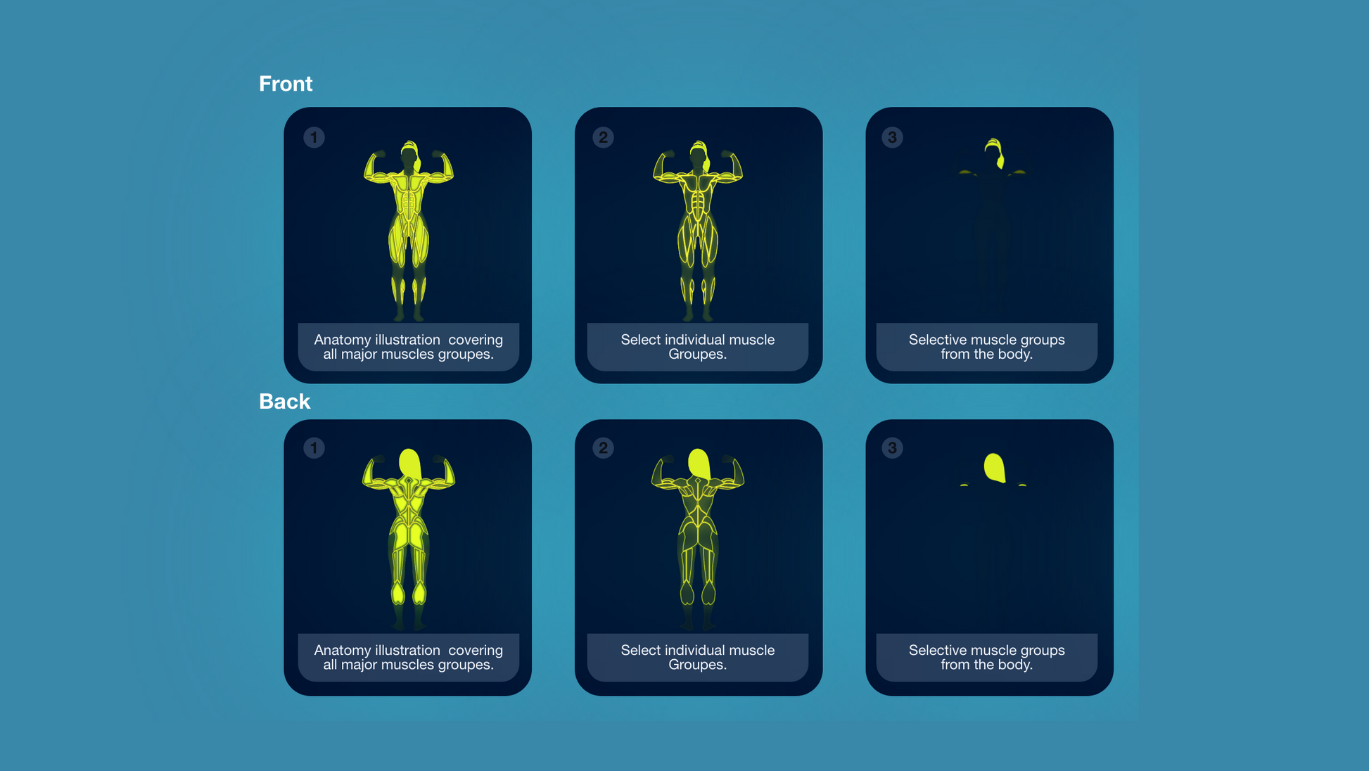 Gym Graphic V4 Female Bundle For Capcut ccreation.store
