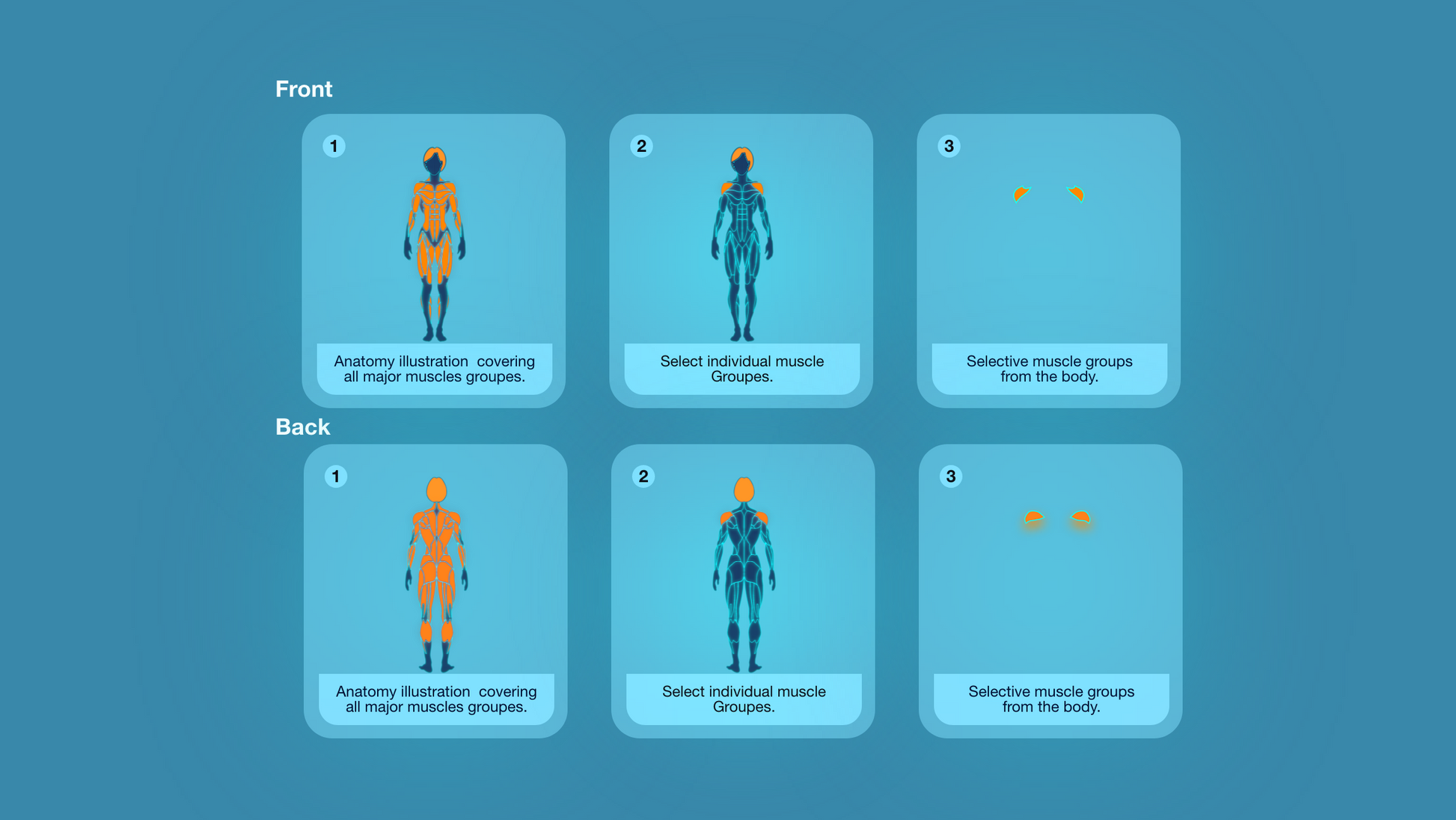 Gym Graphics V2 Female for CapCut ccreation.store
