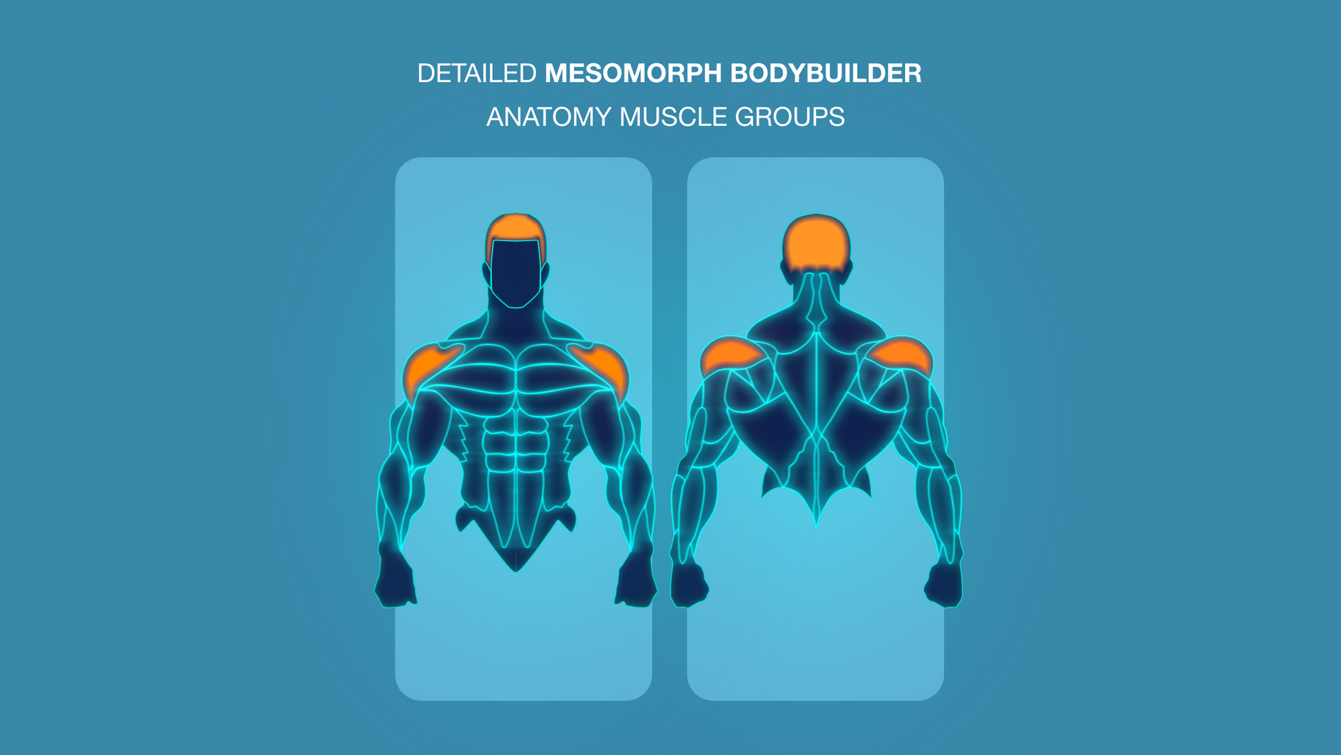 Gym Graphic V2 Mesomorph Upper Body Front & Back For Capcut ccreation.store