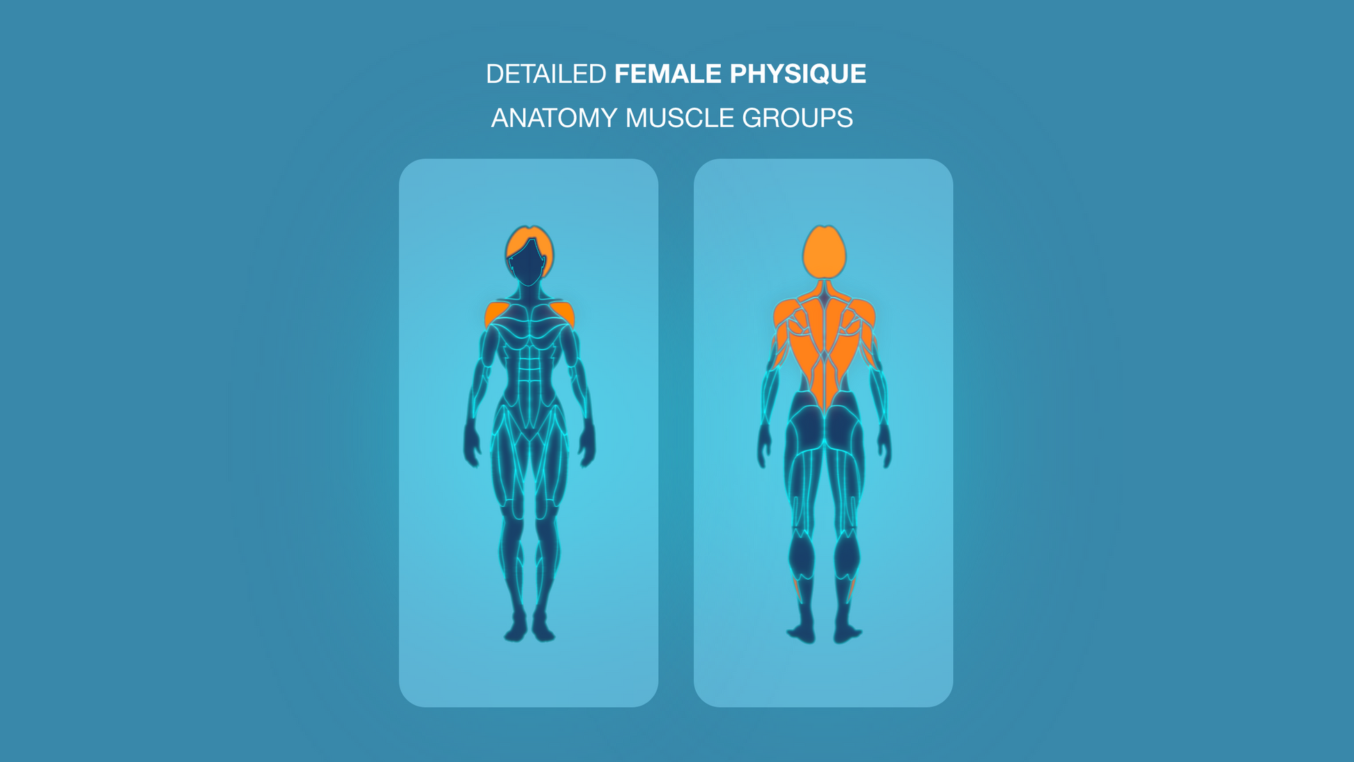 Gym Graphics V2 Female for CapCut ccreation.store