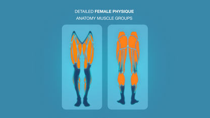 Gym Graphic V2 Female Lower Body Front & Back For Capcut ccreation.store