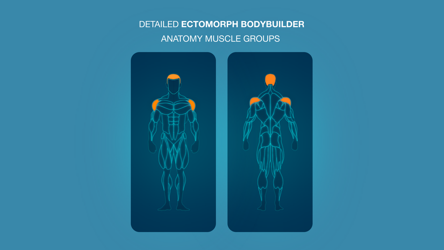Gym Graphic V2 Ectomorph Bundle for CapCut ccreation.store