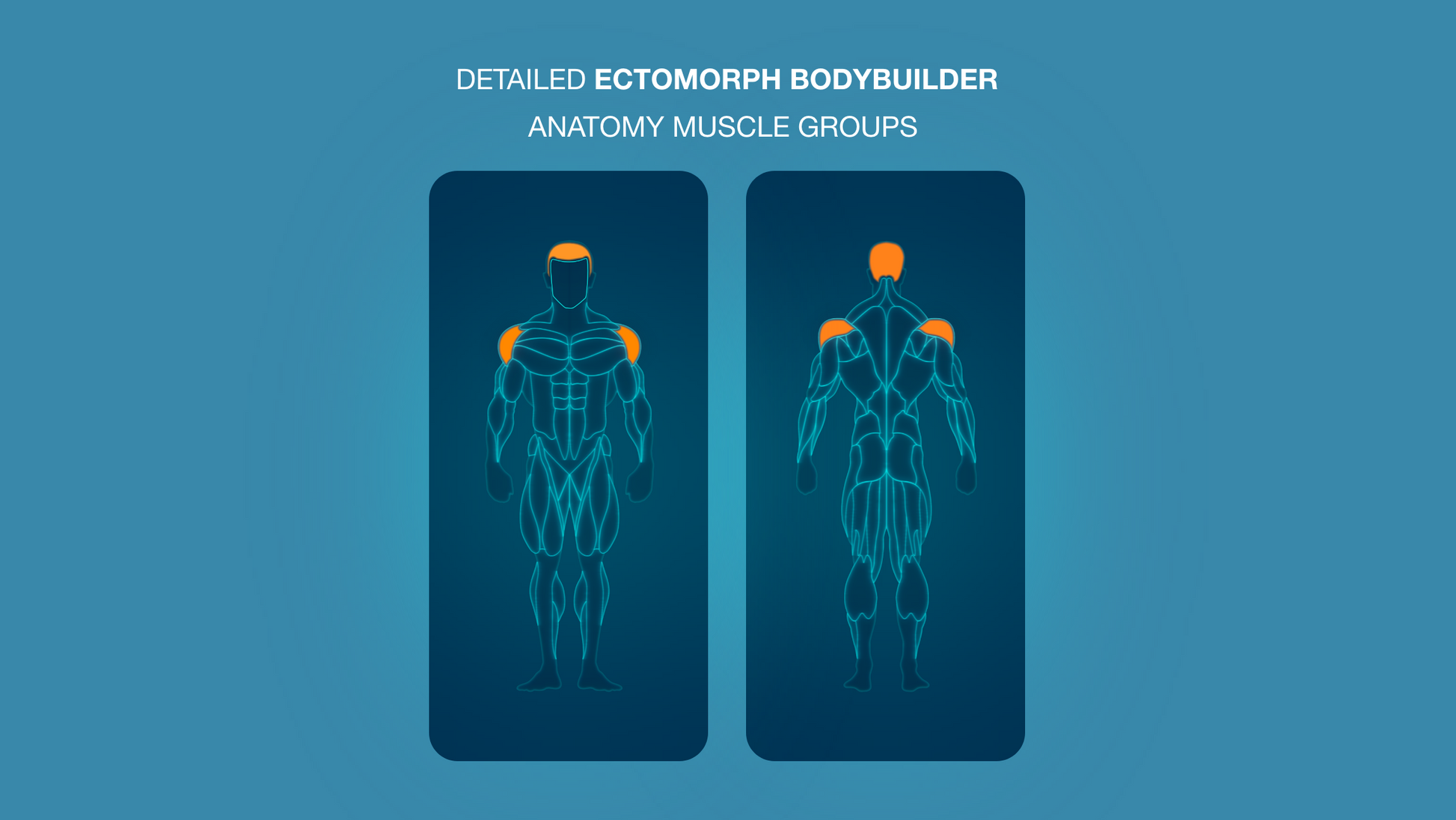 Gym Graphic V2 Ectomorph Bundle for CapCut ccreation.store