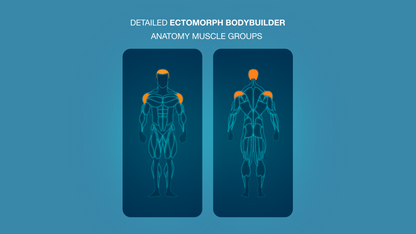 Gym Graphic V2 Ectomorph Bundle for CapCut ccreation.store
