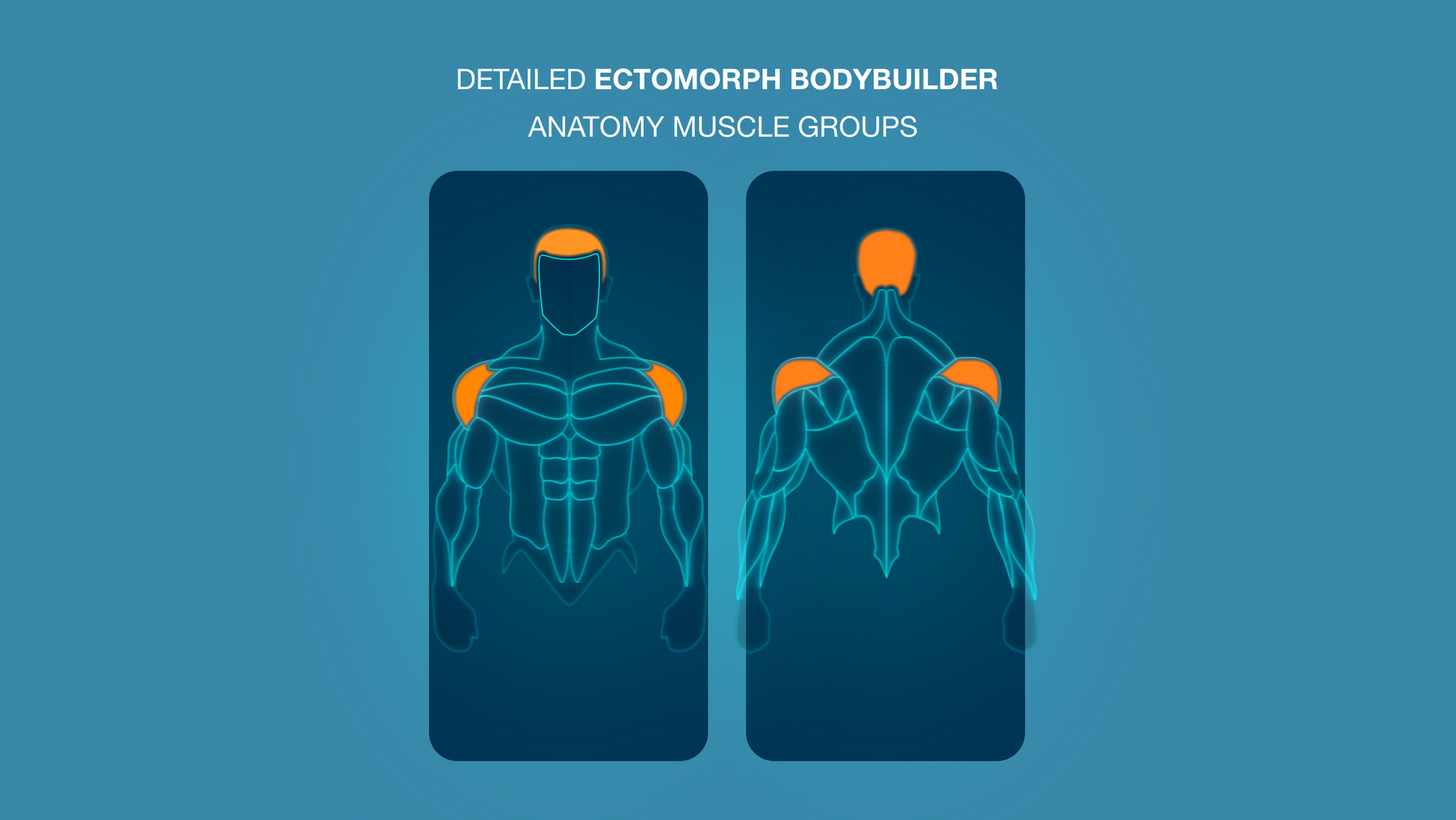 Gym Graphic V2 Ectomorph Upper Body Front & Back For CapCut ccreation.store