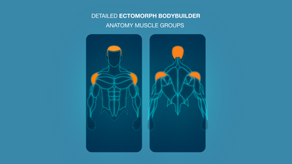 Gym Graphic V2 Ectomorph Upper Body Front & Back For CapCut ccreation.store