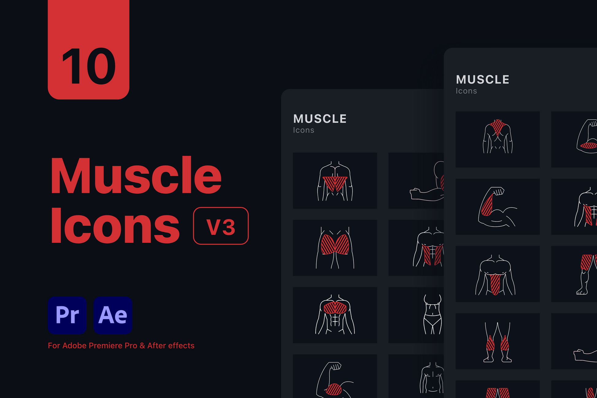 Fitness Animated Icons ccreation.store
