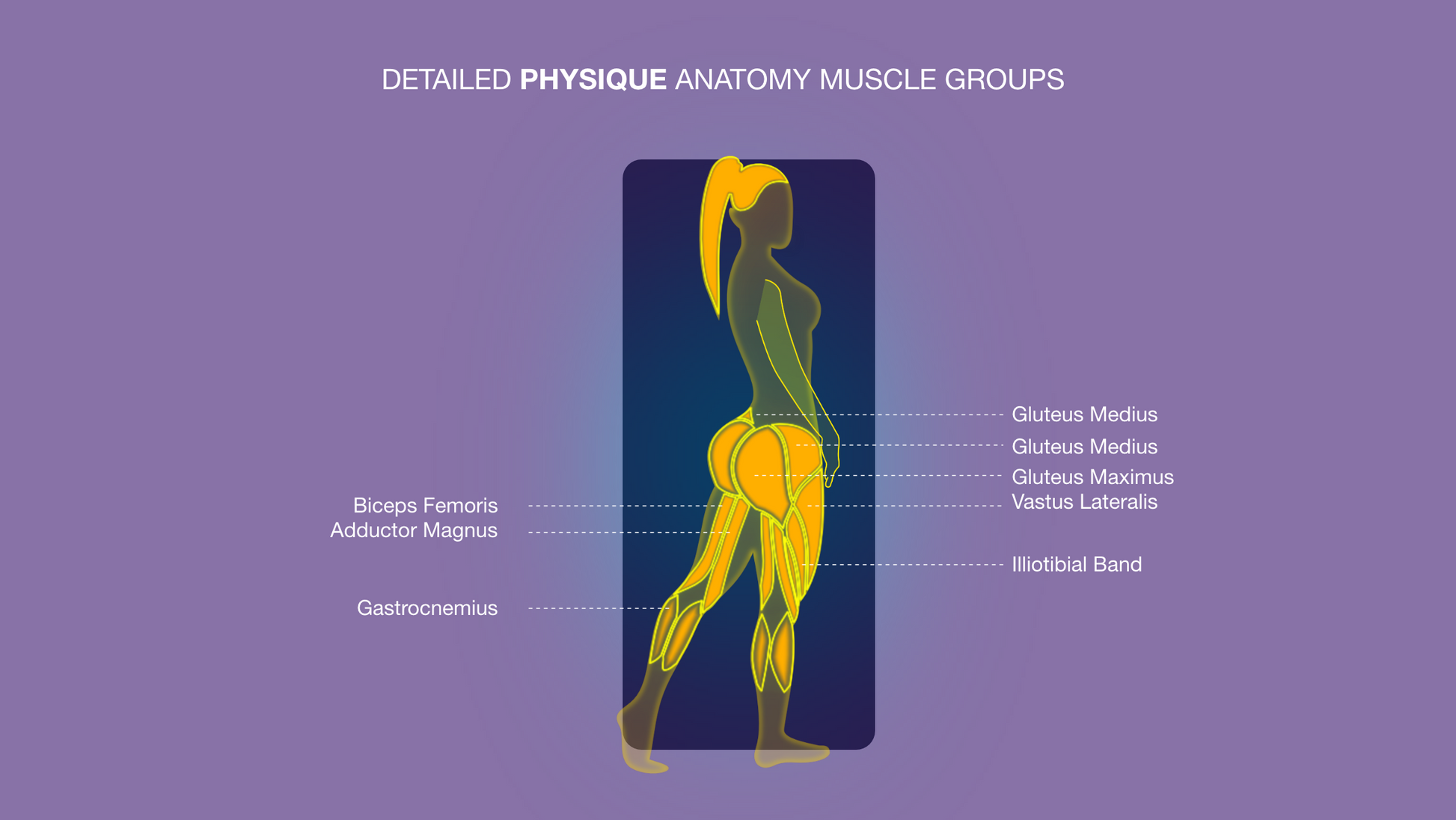 Exercise Graphics V4 Female Lower Body For Capcut ccreation.store