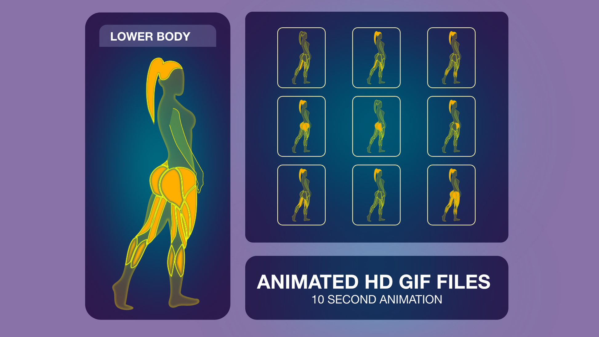 Exercise Graphics V4 Female Lower Body For Capcut ccreation.store