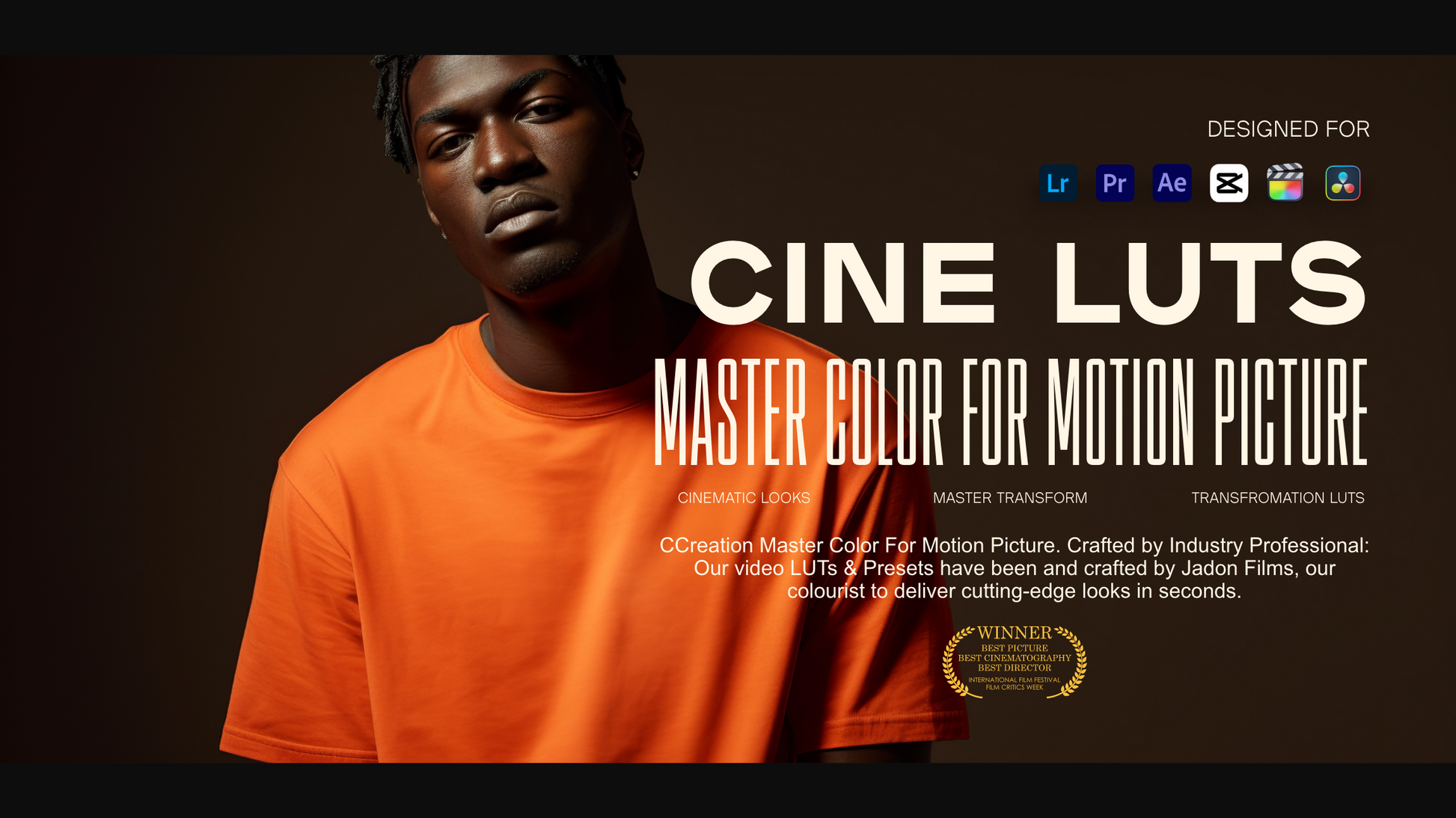 film Concert, Music Festival. Video Presets and cinematic lut Pack for Video Editing for Premiere Pro , After Effects capcut, Video Filters | CCreation.store
