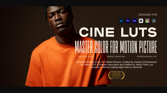 film Concert, Music Festival. Video Presets and cinematic lut Pack for Video Editing for Premiere Pro , After Effects capcut, Video Filters | CCreation.store