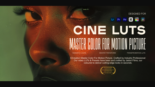 film Concert, fitness, gym, Music Festival. Video Presets and cinematic lut Pack for Video Editing for Premiere Pro , After Effects capcut, Video Filters | CCreation.store