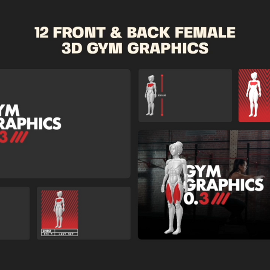 Editable 3D Muscle Map, Anatomy graphics v3
