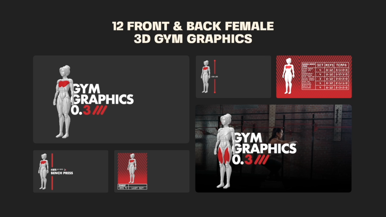 Editable 3D Muscle Map, Anatomy graphics v3
