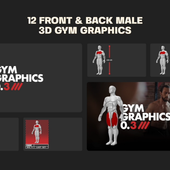 Editable 3D Muscle Map, Anatomy gym graphics v3