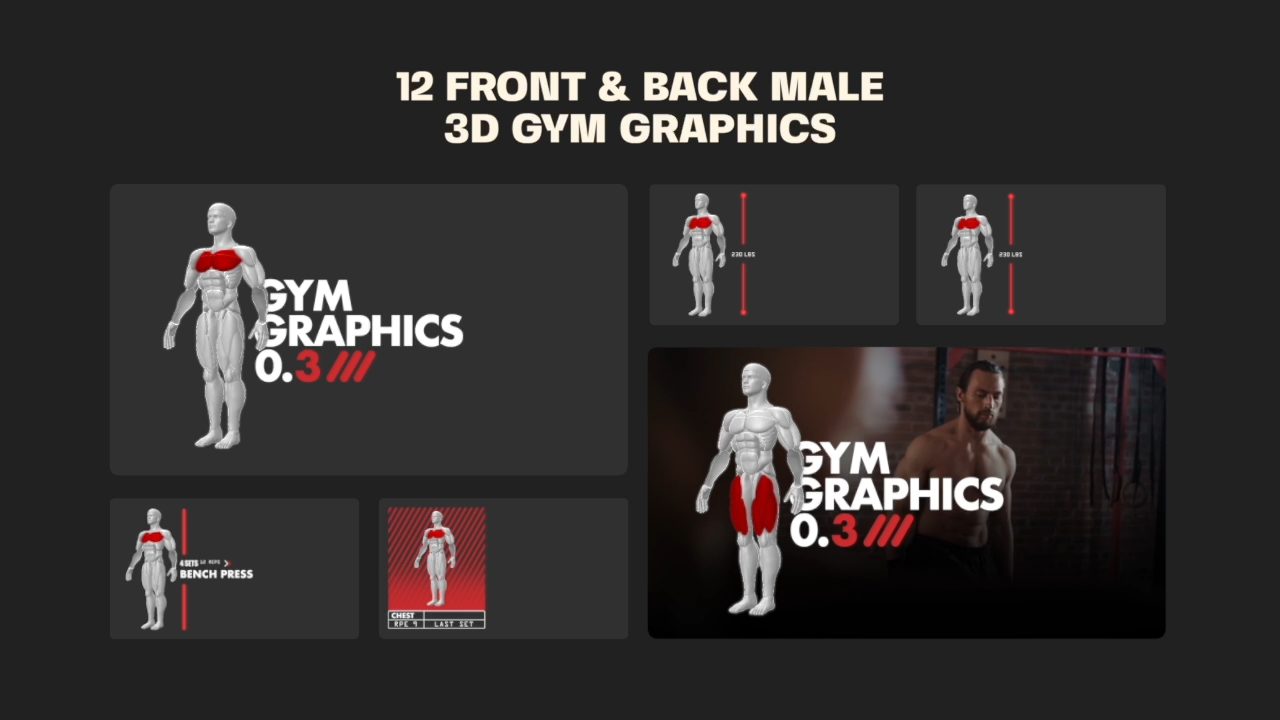 Editable 3D Muscle Map, Anatomy gym graphics v3