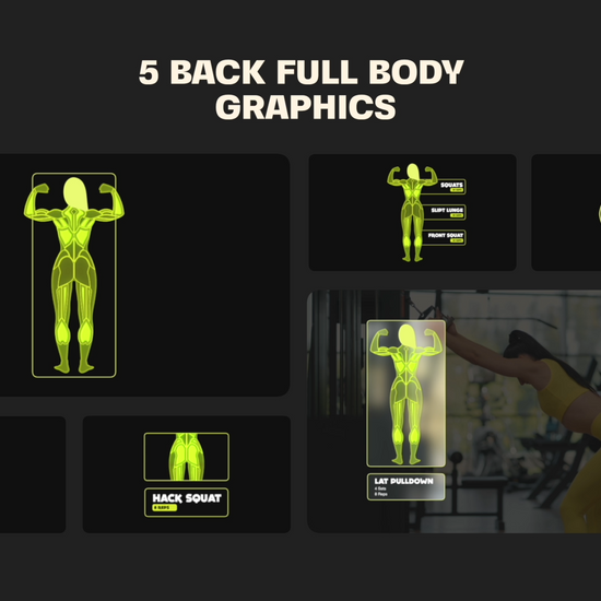 Selected Muscle Anatomy Map template premiere and final cut pro