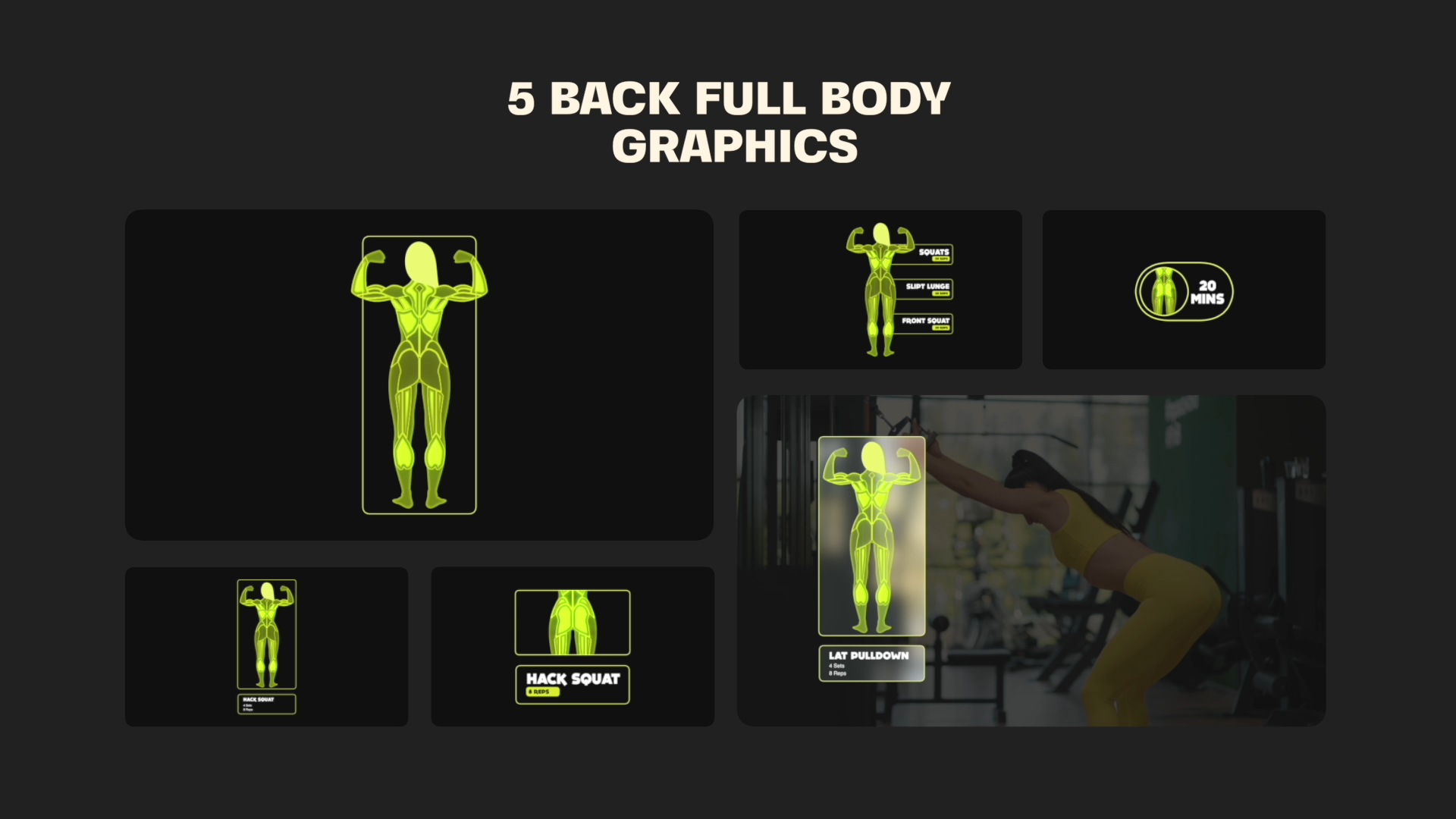 Selected Muscle Anatomy Map template premiere and final cut pro