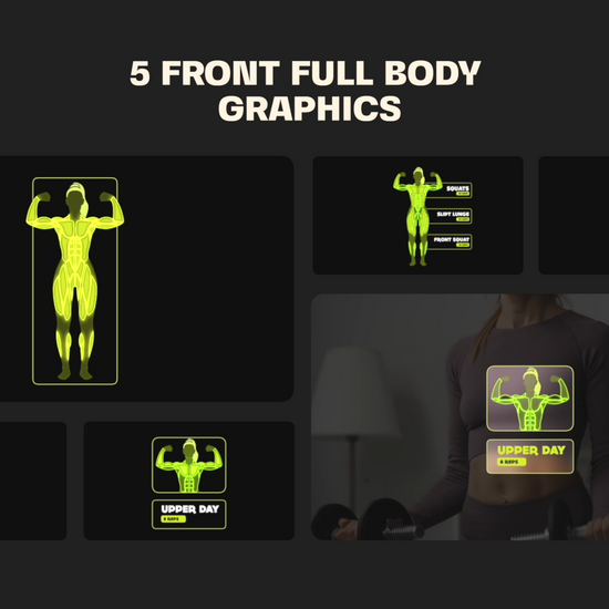 Workout Muscle Anatomies Pack For After Effects