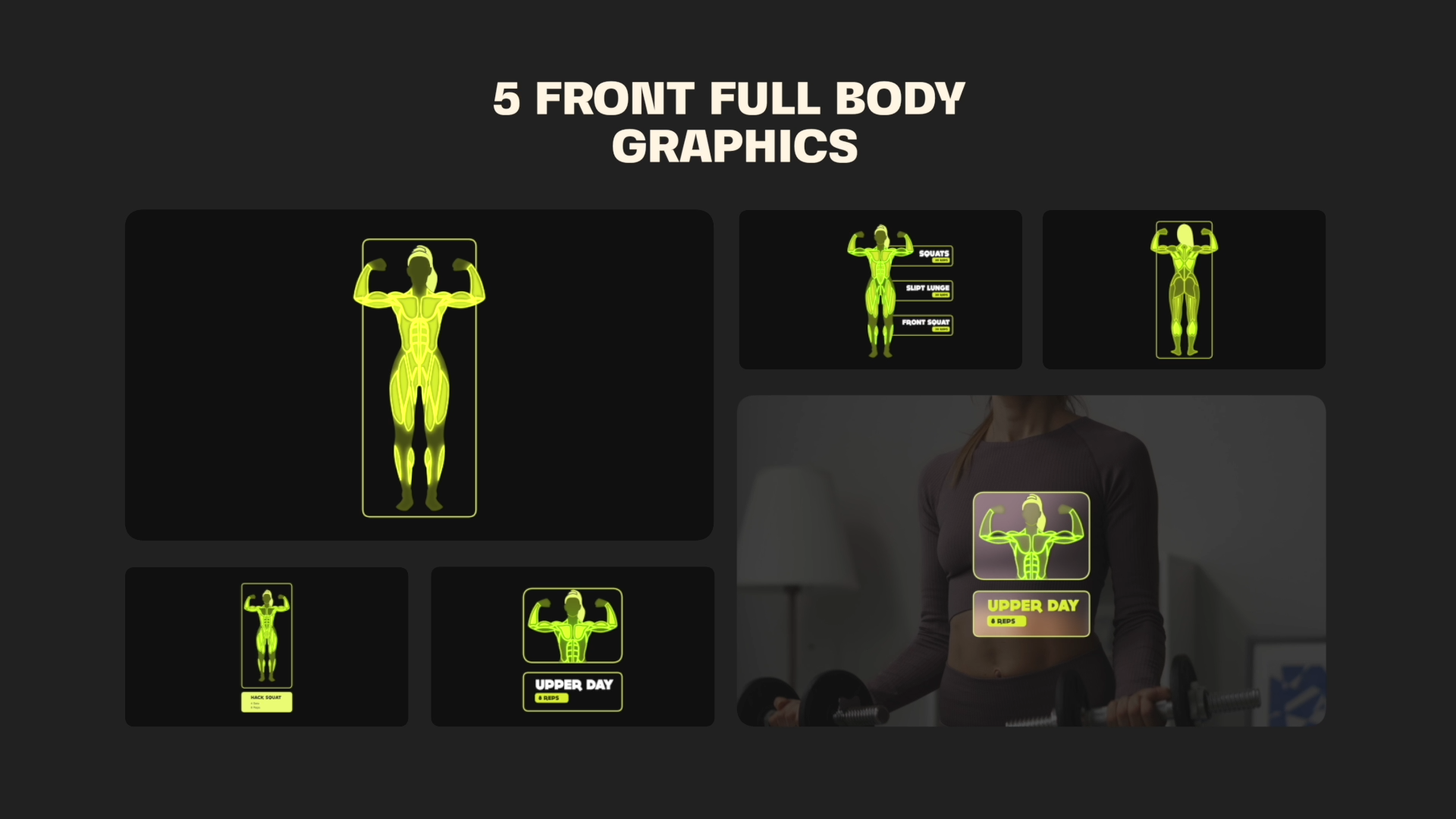 Workout Muscle Anatomies Pack For After Effects