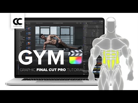 The Gym Graphics For Premiere Pro